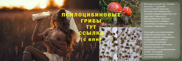 героин Абаза