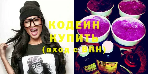 индика Нязепетровск